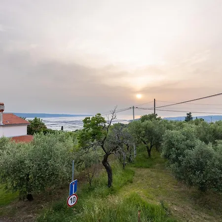 Cipresa * Portorose