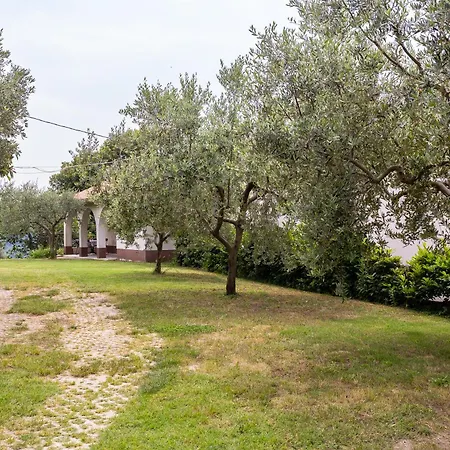 Appartamento Cipresa