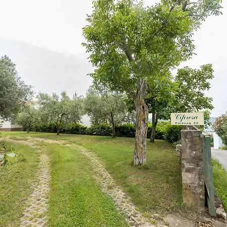 Cipresa *